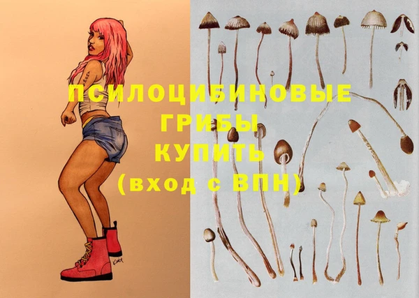 jwh Михайловка
