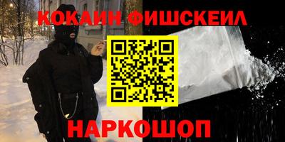 дмт Аргун