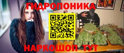 гашик Абинск