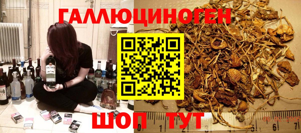 Галлюциногенные грибы Psilocybe  Вход с VPN  Псилоцибиновые грибы Psilocybine cubensis  Архангельск 
